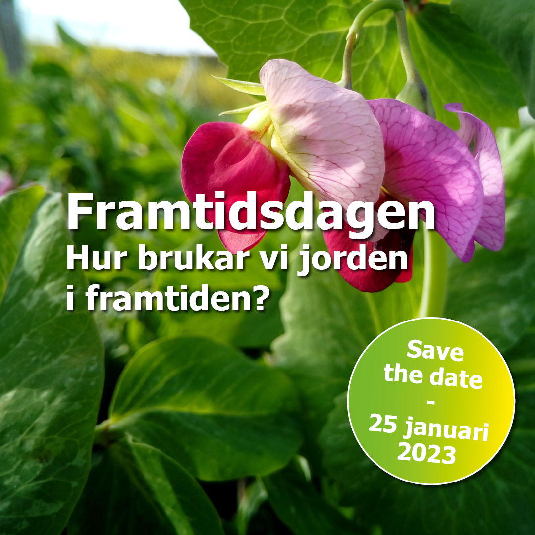 Framtidsdagen_bild1.1